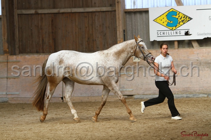 24-ApHC HIH_051.jpg